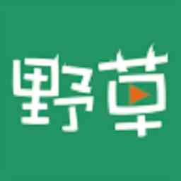 野草视频免费播放