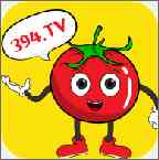 394tv番茄