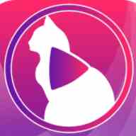 小猫直播免费版