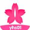 yhs01 app