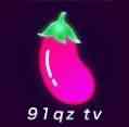 91qztv茄子