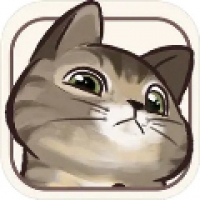 挤在一起的猫猫