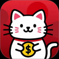 九贝猫