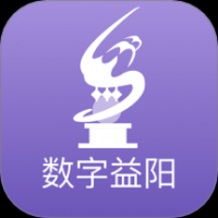 数字益阳
