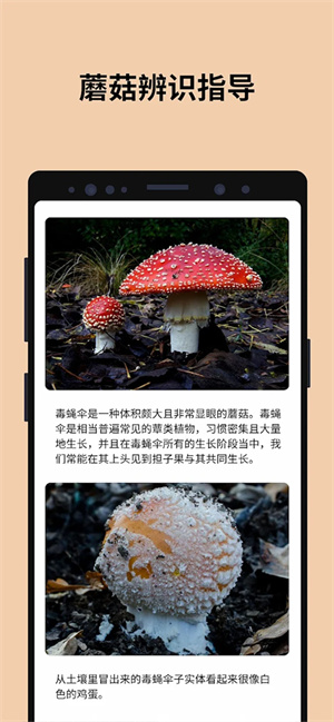 蘑菇识别扫一扫