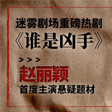 谁是凶手小说