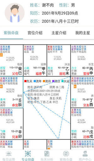 紫微斗数算命