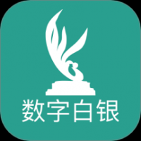 数字白银