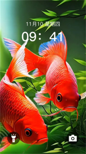 动态养鱼壁纸