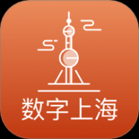 数字上海