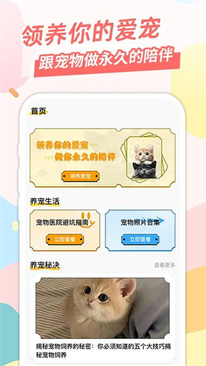 桌面宠