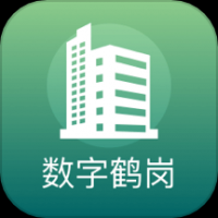 数字鹤岗