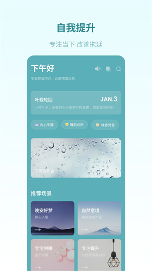 梵花田