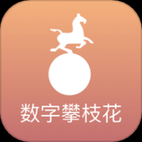 数字攀枝花
