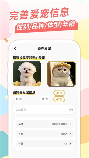 桌面宠