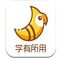 斑鸠职业最新手机版