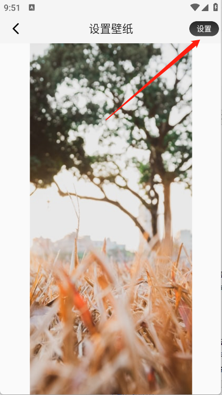 画质圣兽app