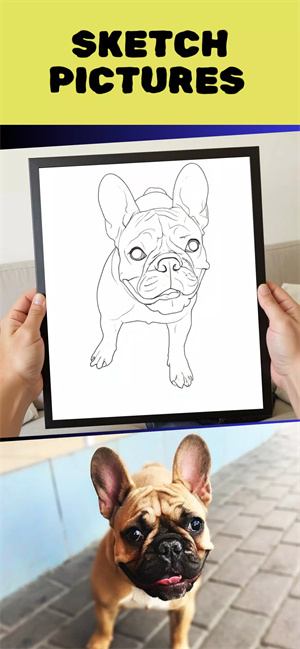 Colorify最新版app