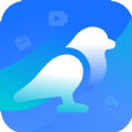 白鸟清理官方版app