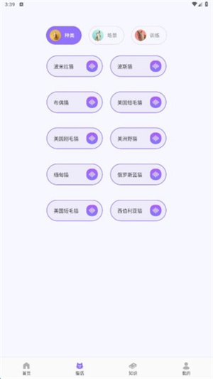 逗喵翻译玩具app