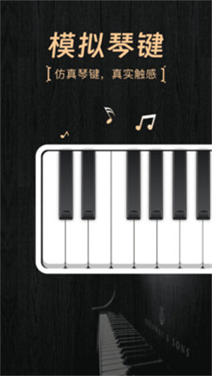 模拟弹钢琴大师app