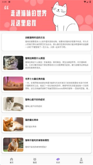 逗喵翻译玩具app