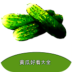黄瓜阅读无广告版 v5.0.2