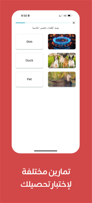 Taleek视频课程app