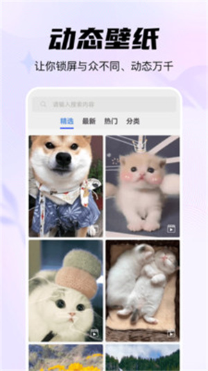 随心手机壁纸app