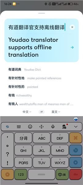如何离线翻译配图4