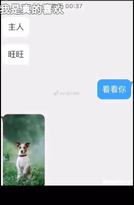 blued极速版2020旧版本