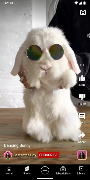 youtube下载最新版本