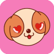 细狗视频vip版本