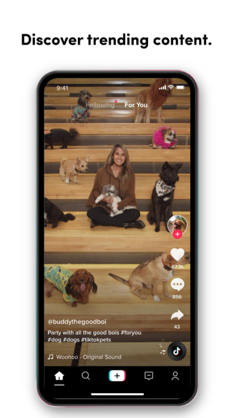 tiktok色板国际版