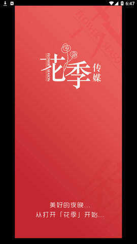 花季v3.075版本