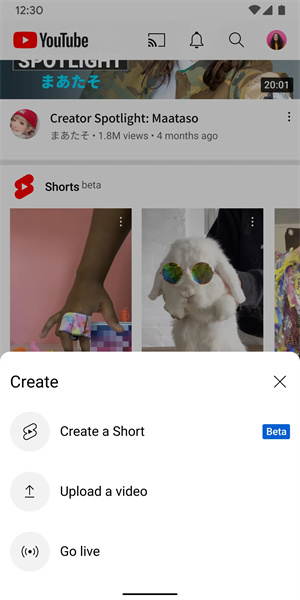 youtube官网app安卓