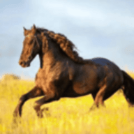 你的电视(Your TV)