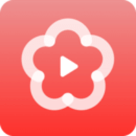 梅花视频rmvb下载