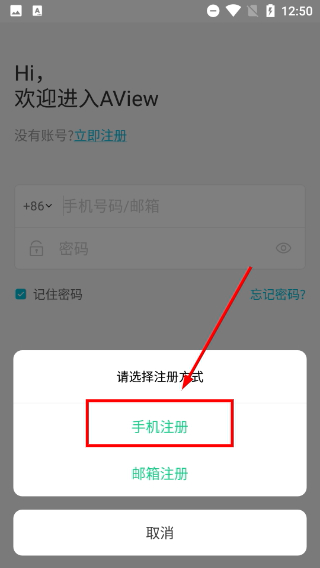 aview手机连接监控摄像头
