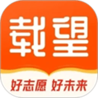 载望志愿
