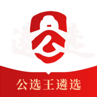 公选王遴选网app